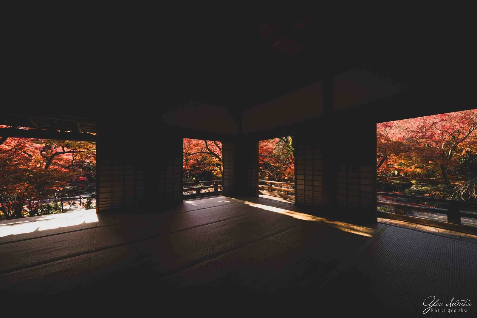 Framed Autumn — 額の秋
