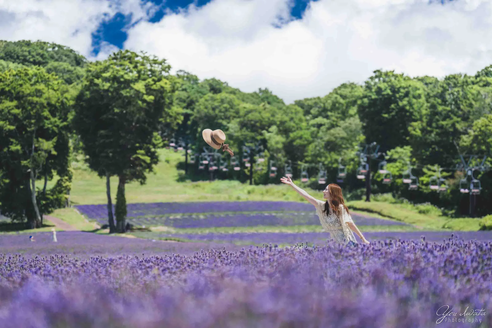 Field of Flowers — 花野