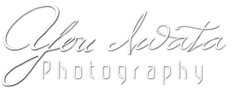 You Iwata Photography
